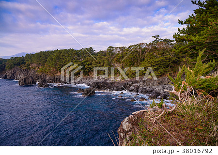 【東伊豆】城ヶ崎海岸 38016792