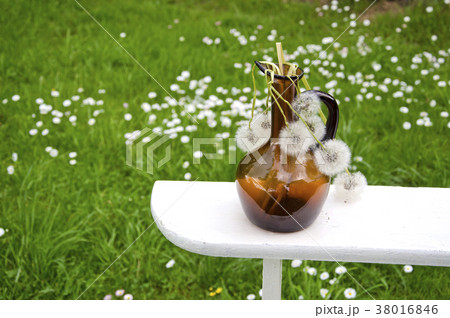 vintage bottle with dry white dandelion clocks vintage bottle with dry white dandelion clocks 38016846