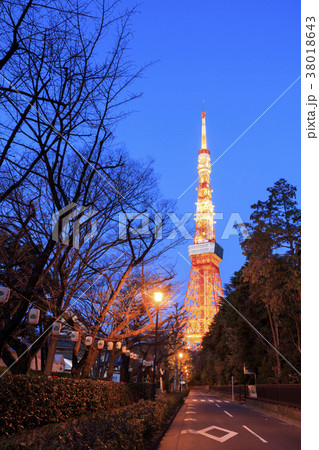 都市風景（東京、東京タワー、夜明け前） 38018643