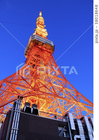 都市風景（東京、東京タワー、夜明け前） 38018648