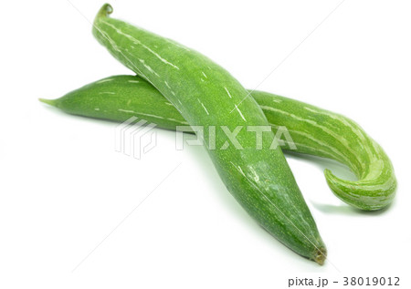 Snake gourd isolated Snake gourd isolated 38019012