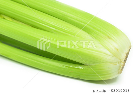 Bunch of celery sticks isolated 38019013