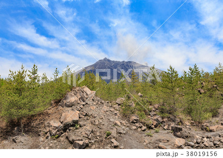 有村溶岩展望所からの桜島 -大正溶岩原に作られた360度広がる眺望の展望所- 38019156