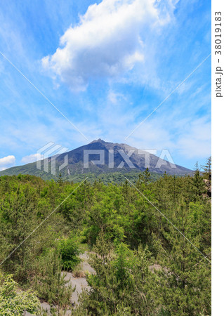 有村溶岩展望所からの桜島 -大正溶岩原に作られた360度広がる眺望の展望所- 38019183