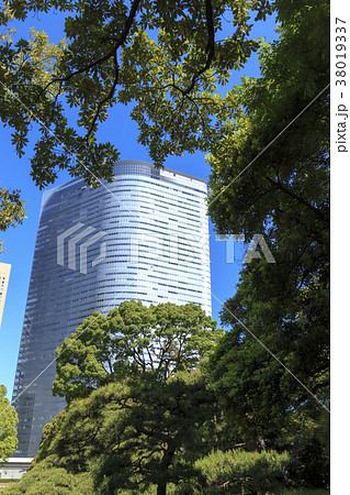 庭園風景（東京、浜離宮、初夏） 38019337