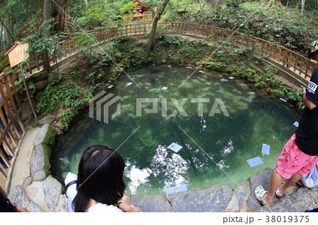 縁結びの神様 松江市八重垣神社 鏡の池で占いの写真素材