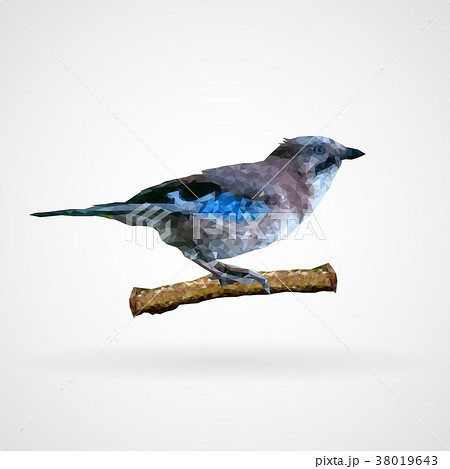 Colorful polygonal bird, Vector, Illustration Colorful polygonal bird, Vector, Illustration 38019643