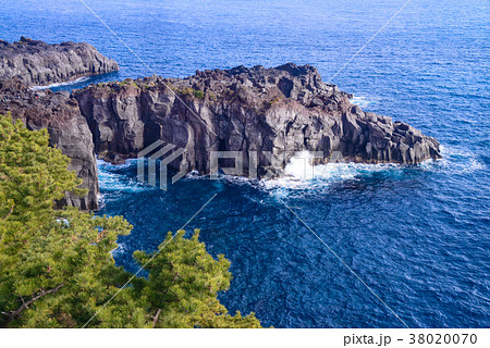 【東伊豆】城ヶ崎海岸 38020070
