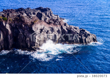【東伊豆】城ヶ崎海岸 【東伊豆】城ヶ崎海岸 38020073