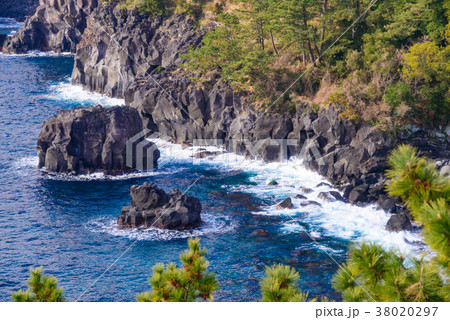 【東伊豆】城ヶ崎海岸 【東伊豆】城ヶ崎海岸 38020297