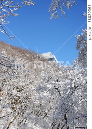 樹氷 樹氷 38020568