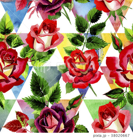 Wildflower two-color dark red rose flower pattern Wildflower two-color dark red rose flower pattern 38020667