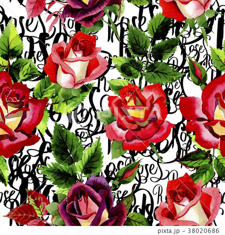Wildflower two-color dark red rose flower pattern Wildflower two-color dark red rose flower pattern 38020686