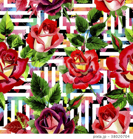 Wildflower two-color dark red rose flower pattern Wildflower two-color dark red rose flower pattern 38020704