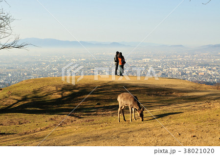 若草山山頂 38021020