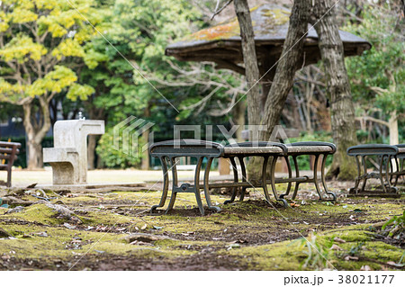 柿田川公園のベンチ 柿田川公園のベンチ 38021177