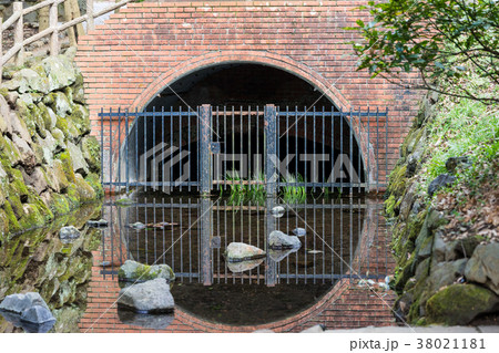 柿田川公園の水路 柿田川公園の水路 38021181