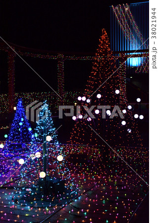 よみうりランド よみうりランド 38021944