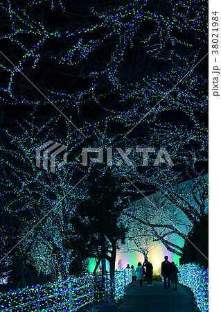 よみうりランド 38021984