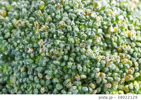 macro shooting of flowers of cabbage of broccoli macro shooting of flowers of cabbage of broccoli 38022129