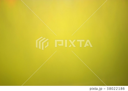 Beautiful blurred green background leafs of trees 38022186