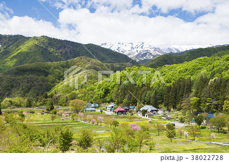 里山の春 里山の春 38022728