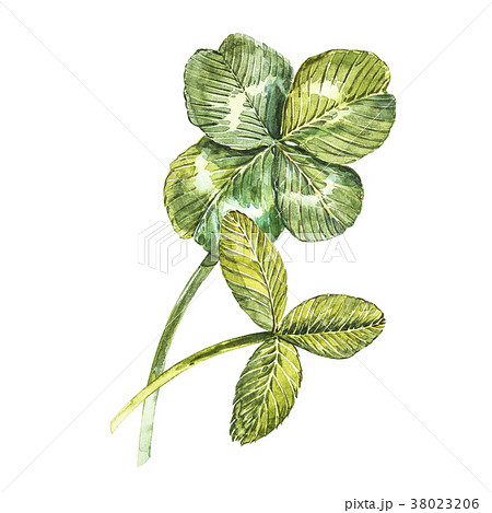 A Set Of Clover Leaves Four Leafed And Trefoilのイラスト素材