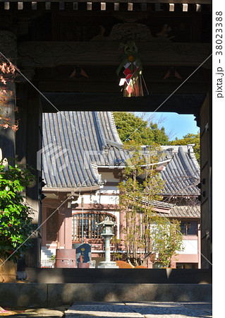 横浜・本覚寺 横浜・本覚寺 38023388