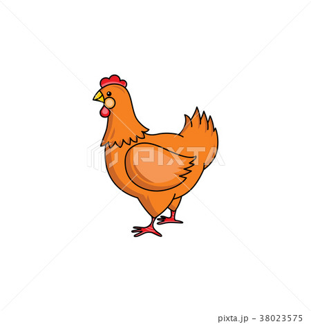 Side-view portrait of brown hen, chicken 38023575