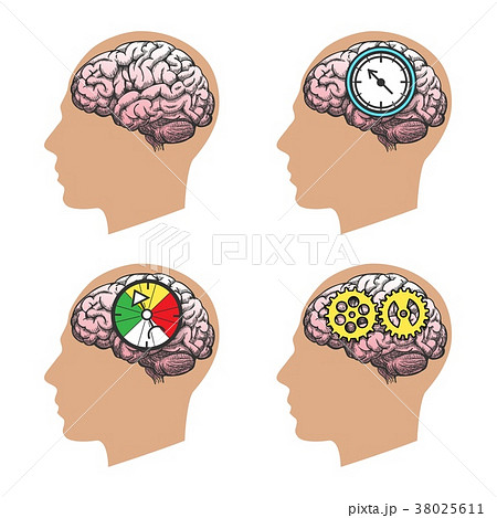 Man head silhouette with brain 38025611