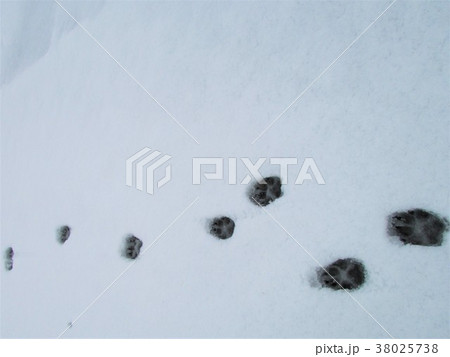 雪景色　足跡 38025738
