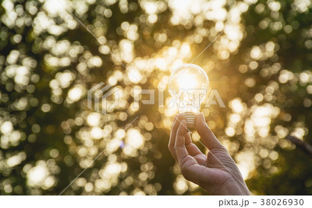 Hand of person holding light bulb for idea 38026930