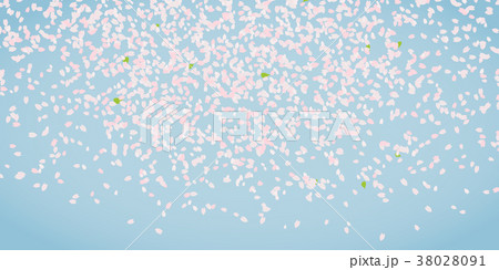 Blooming cherry blossom petals. Frame for text. 38028091