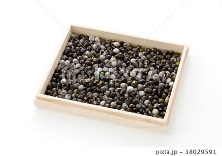 数珠玉 数珠玉 38029591