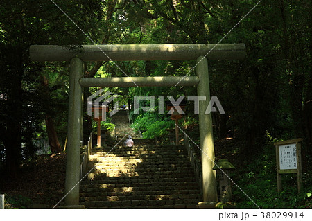 天岩戸神社より 天岩戸神社より 38029914