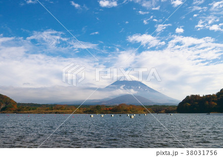 子抱富士 38031756