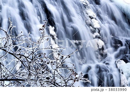知床　冬のオシンコシンの滝 38033990
