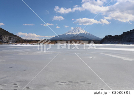 精進湖の湖面氷結 38036302