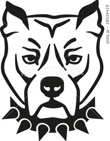 Pit bull head with collar 38036429