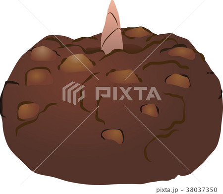 コンニャクイモ コンニャクイモ 38037350