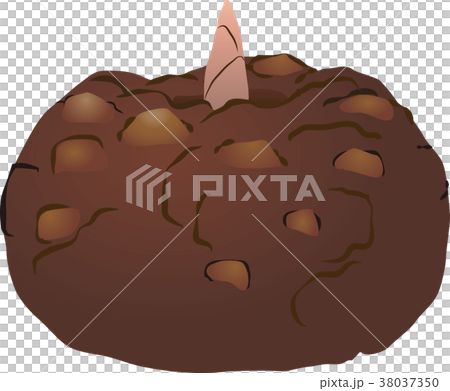 コンニャクイモ コンニャクイモ 38037350