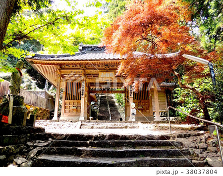 第三十六番青龍寺山門 38037804