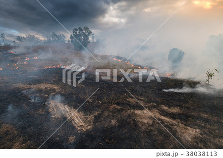 Bushfire, Burned black land on hill in Australia Bushfire, Burned black land on hill in Australia 38038113