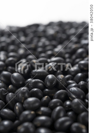 黒大豆 38042050
