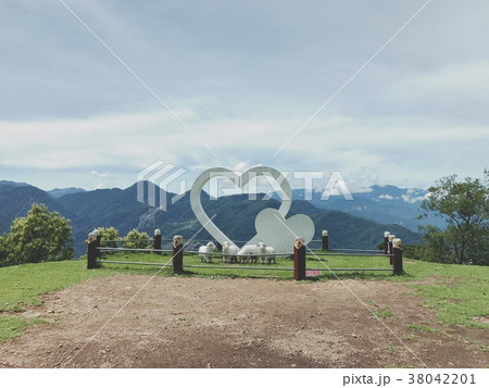 農場 農園 農村地帯 38042201