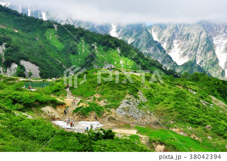 八方尾根自然研究路から眼下に八方池を望む 八方尾根自然研究路から眼下に八方池を望む 38042394