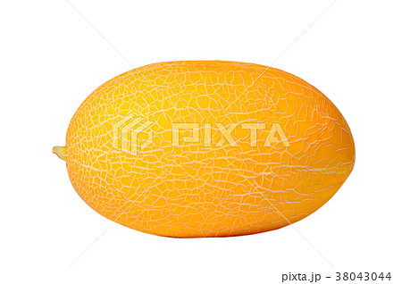 Melon Melon 38043044