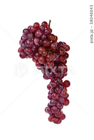 red grape isolated on white background red grape isolated on white background 38046043