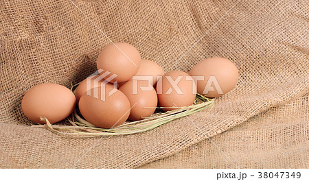 Chicken Egg , egg on a brown sackcloth 38047349