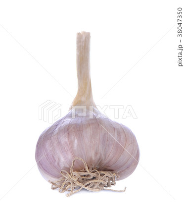Garlic isolated on white background 38047350